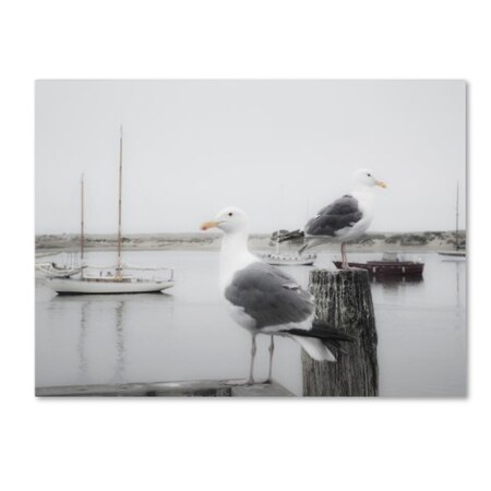 Moises Levy 'Two Seagulls & Boats' Canvas Art,35x47
